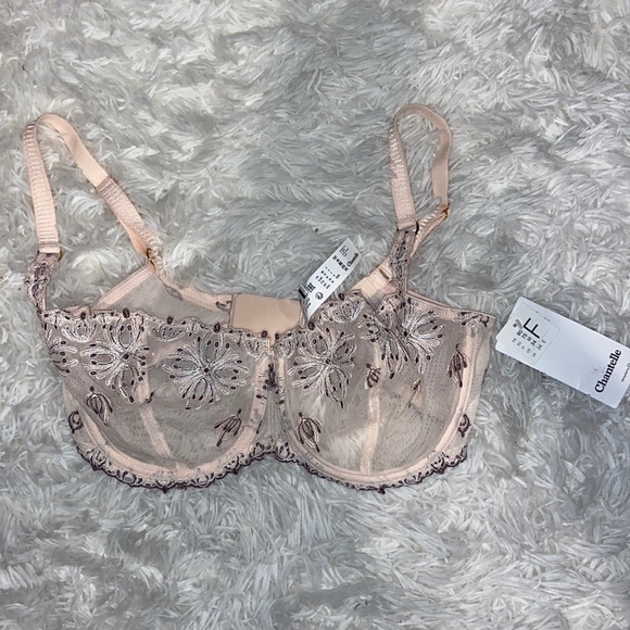Chantelle Intimates & Sleepwear Chantelle Pink Sheer Bra Poshmark